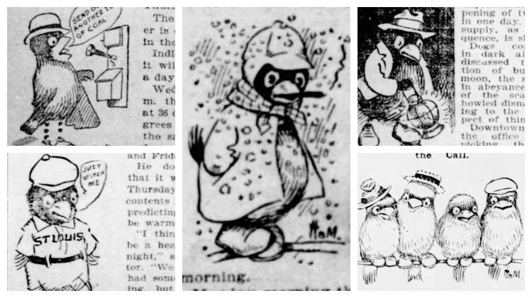 Weatherbirds from 1901